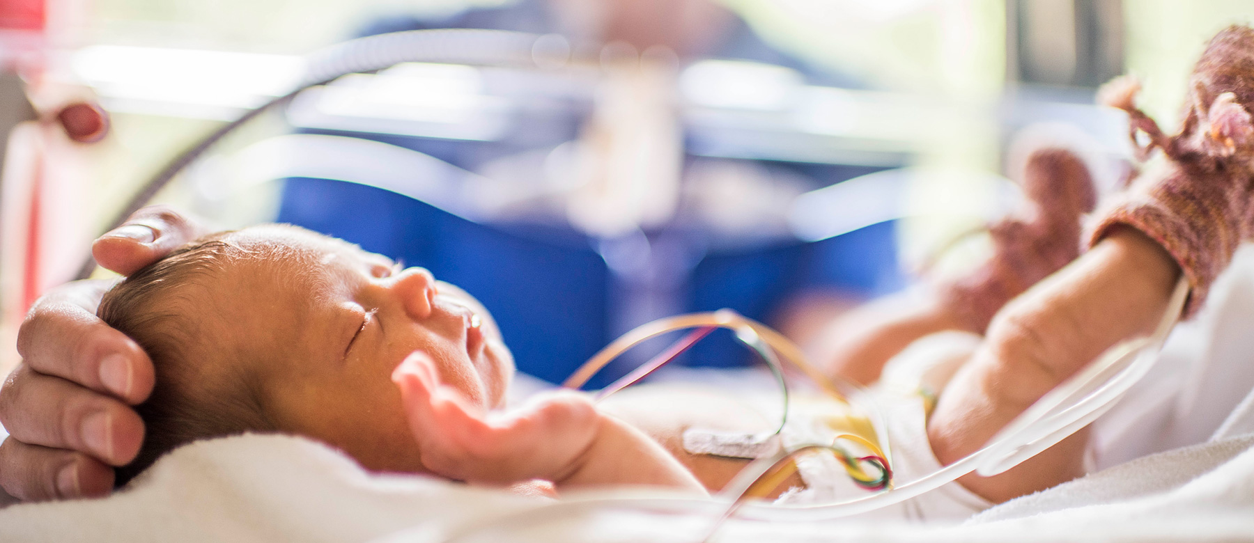 Pflegerin auf der Neonatologie streichelt den Kopf eines schlafenden Frühgeborenen im Inkubator.