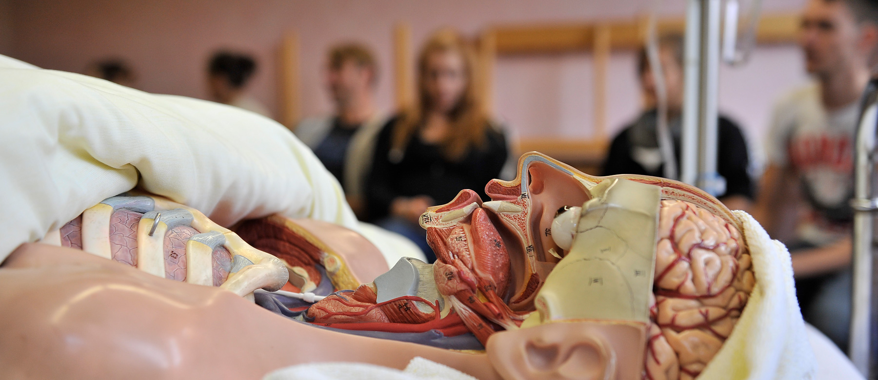 Die Auszubildenden der Krankenpflegeschule lernen den menschlichen Körper mit einem Anatomiemodell kennen.